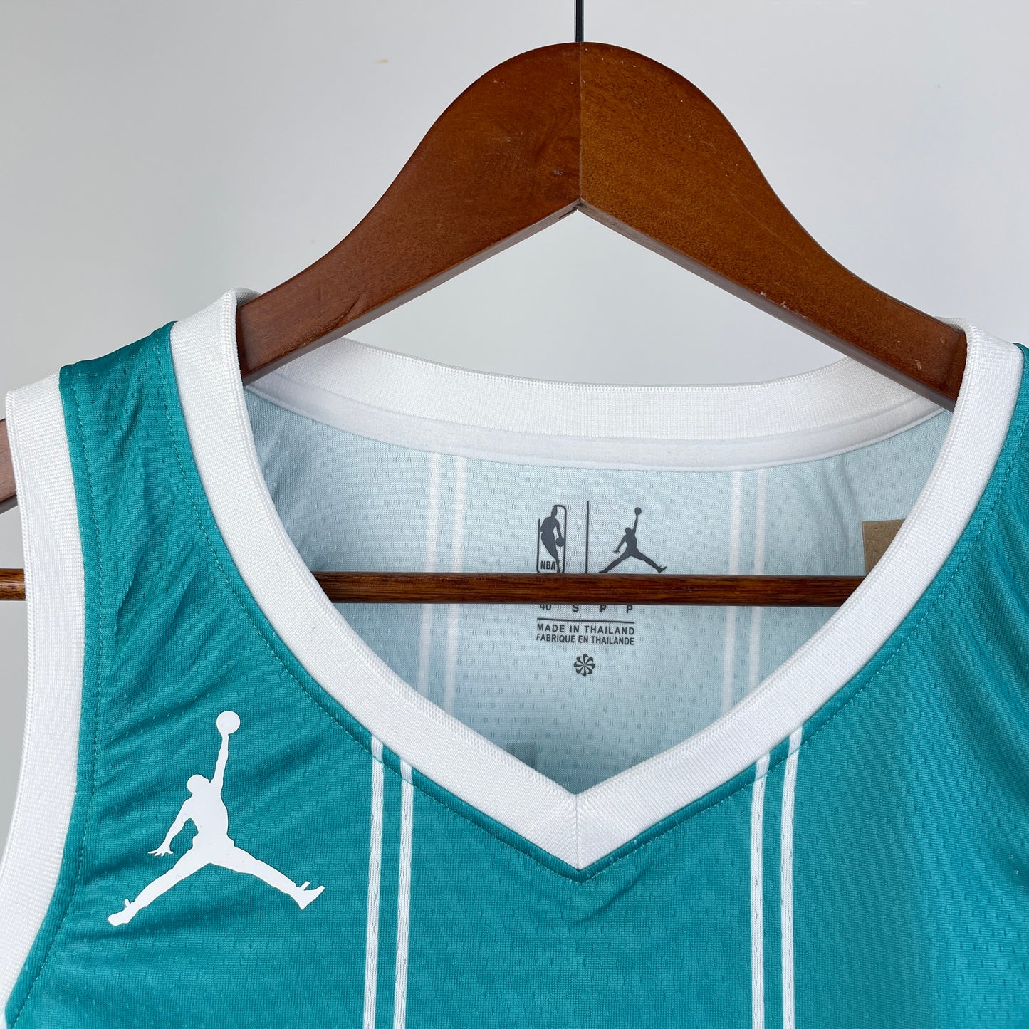 Charlotte Hornets. Icon Edition