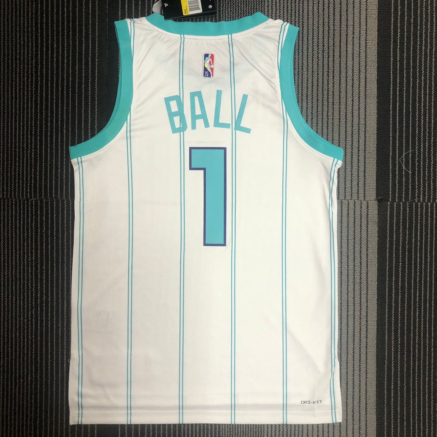 Charlotte Hornets. Association Edition