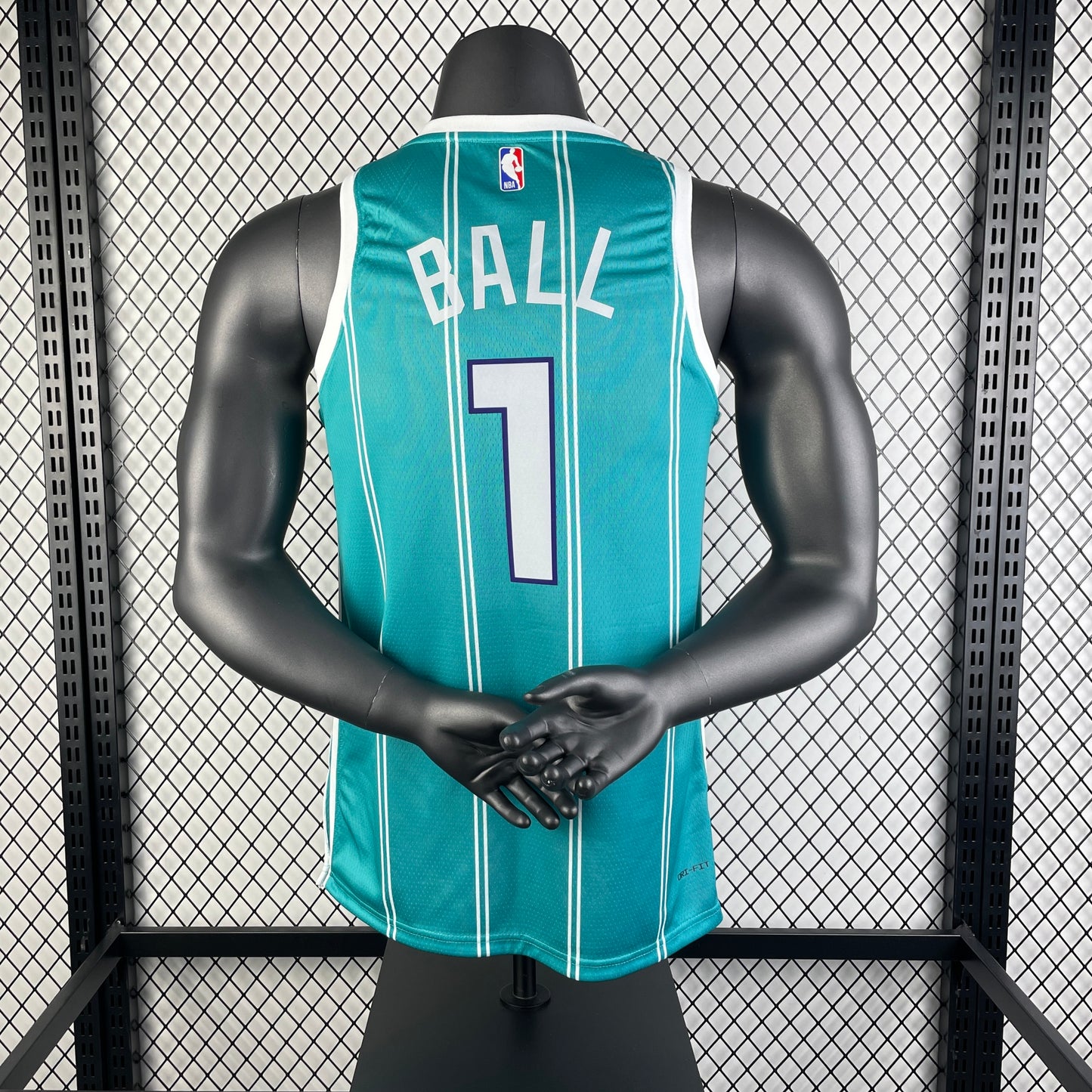 Charlotte Hornets. Icon Edition