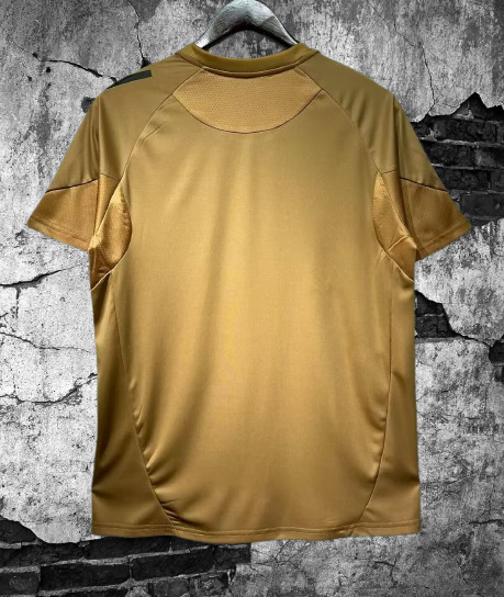 Colo Colo. Camiseta entrenamiento Gold 2025