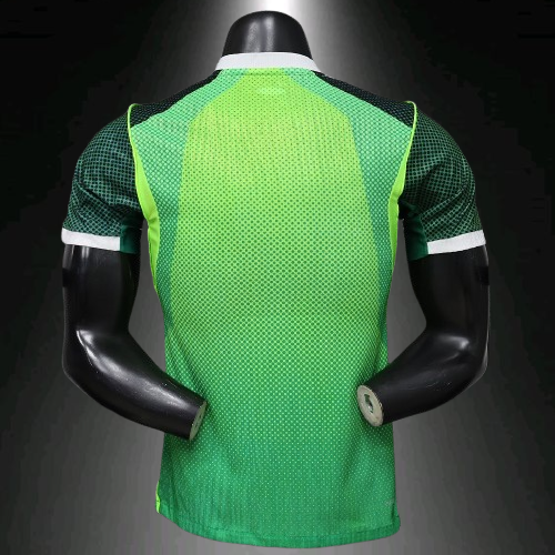 Selección de Nigeria. Camiseta local versión jugador 2026