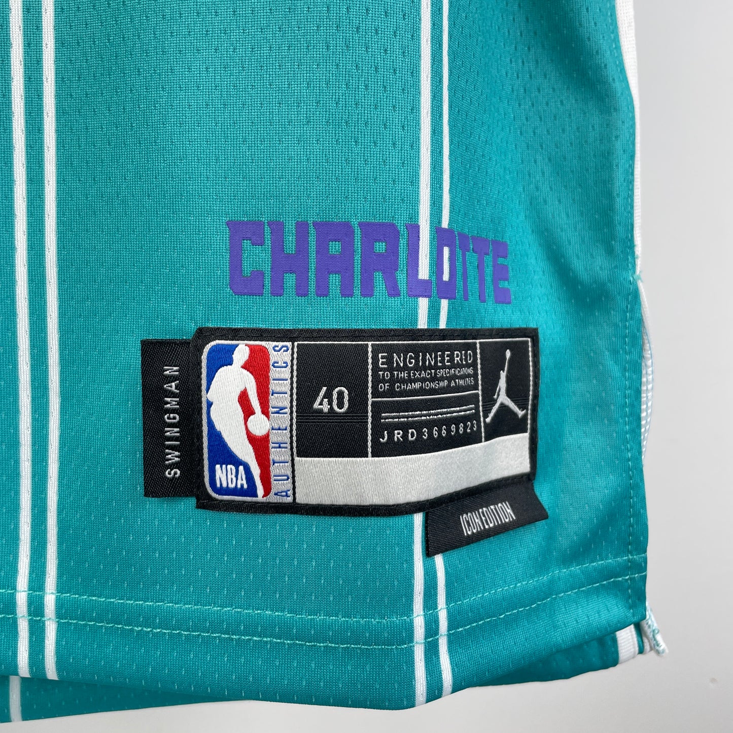 Charlotte Hornets. Icon Edition