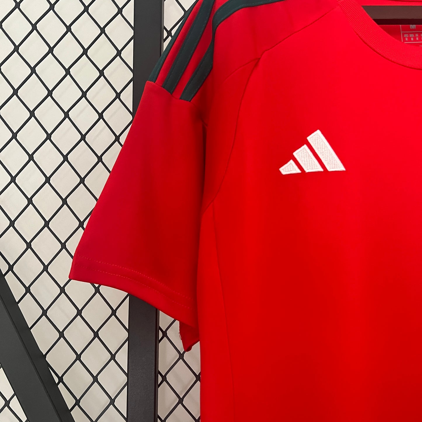 Selección de Gales. Camiseta local 2024