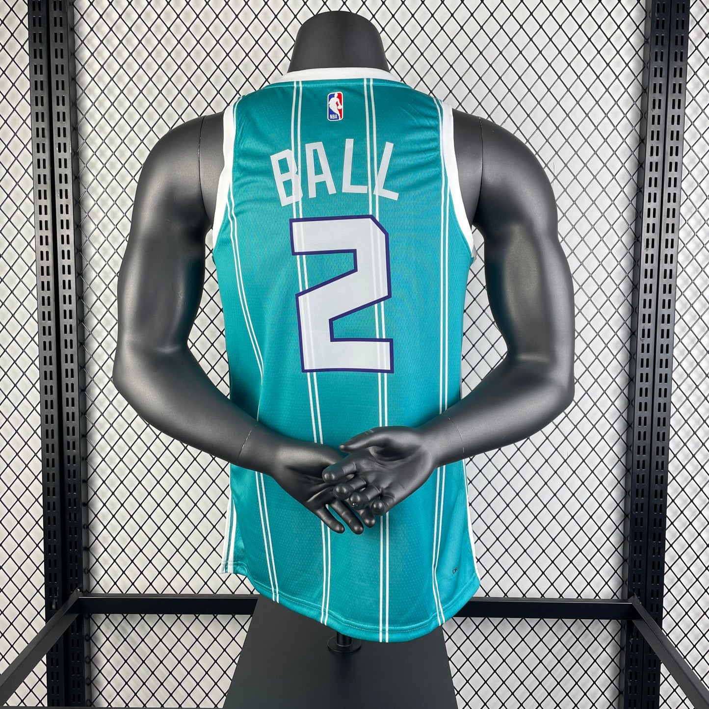 Charlotte Hornets. Icon Edition