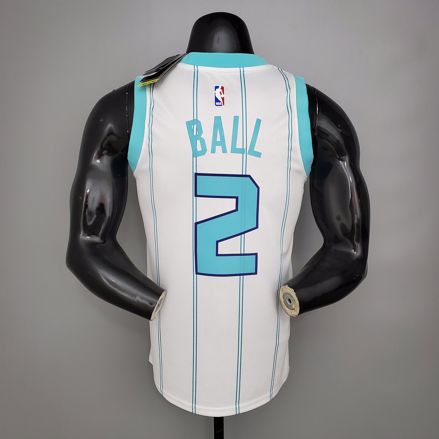 Charlotte Hornets. Association Edition