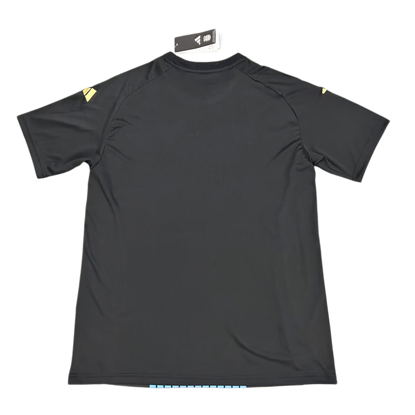 Selección de Alemania. Camiseta Pre-Match 2024-2025