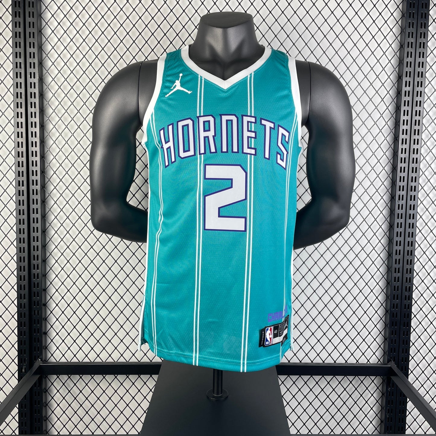 Charlotte Hornets. Icon Edition