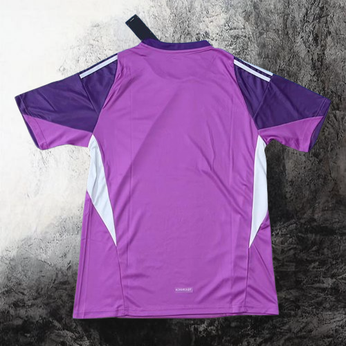 Selección de Italia. Camiseta Arquero 2025-2026 Purple