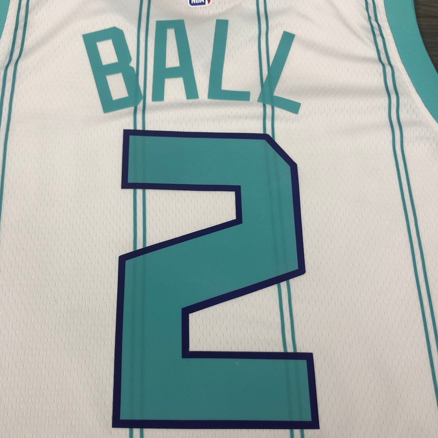 Charlotte Hornets. Association Edition