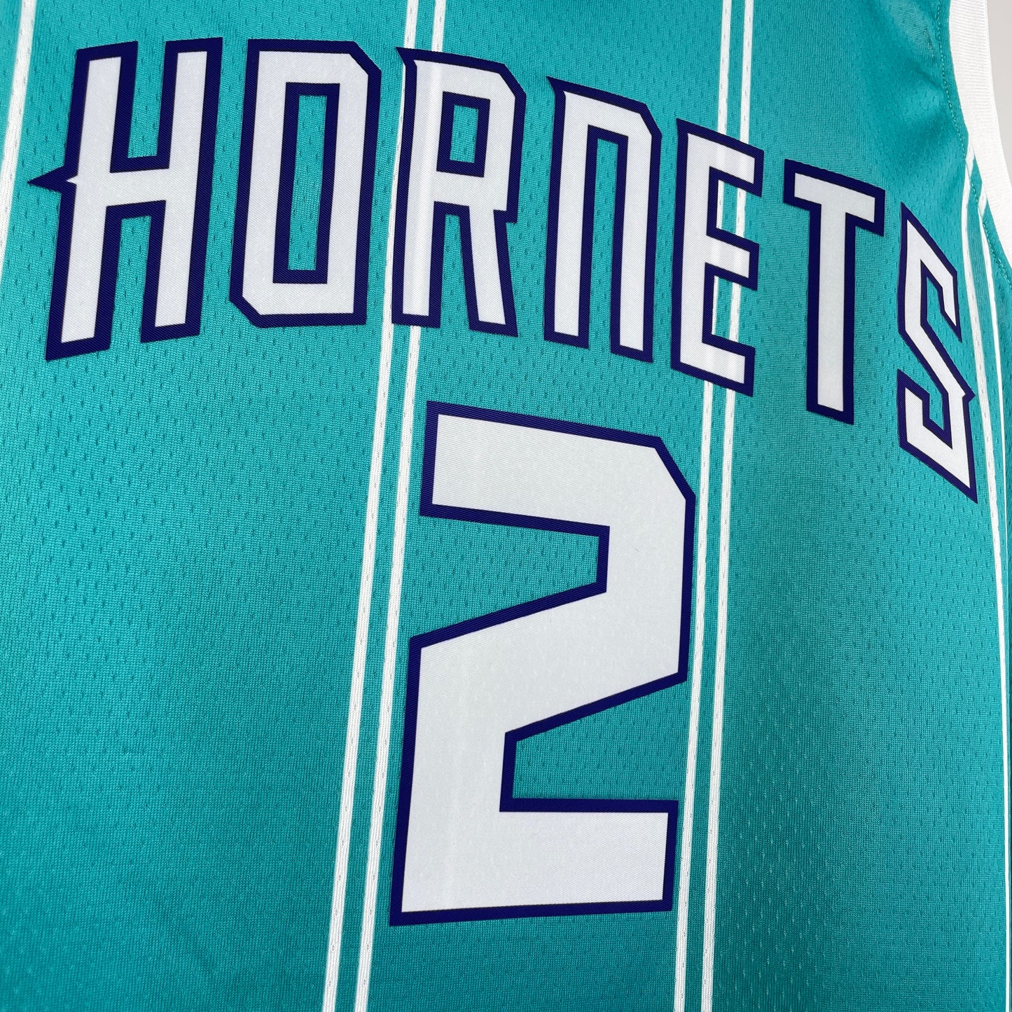 Charlotte Hornets. Icon Edition