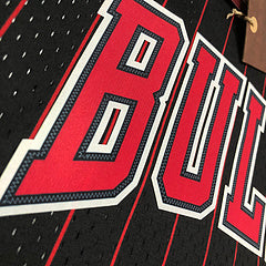 Chicago Bulls. Dennis Rodman 1995-1996