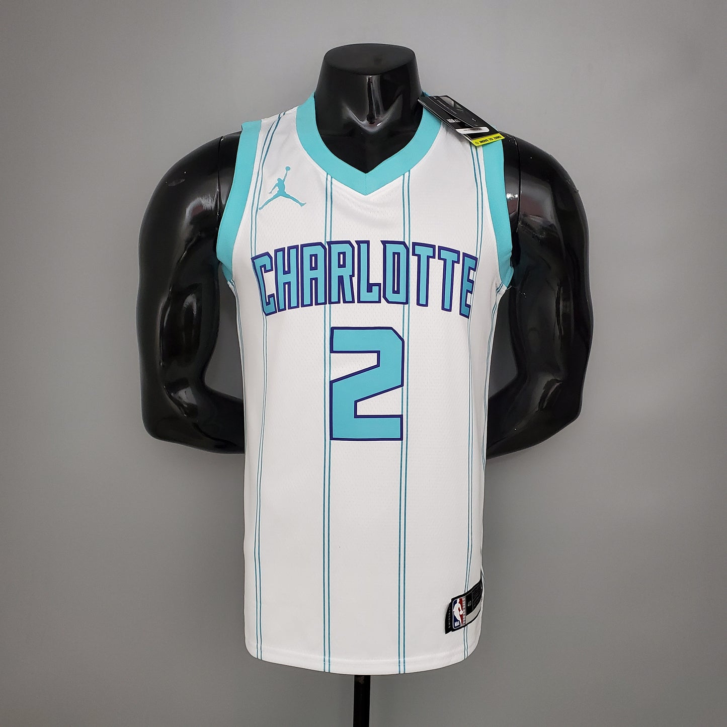 Charlotte Hornets. Association Edition