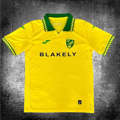 Norwich City. Camiseta local 2025-2026