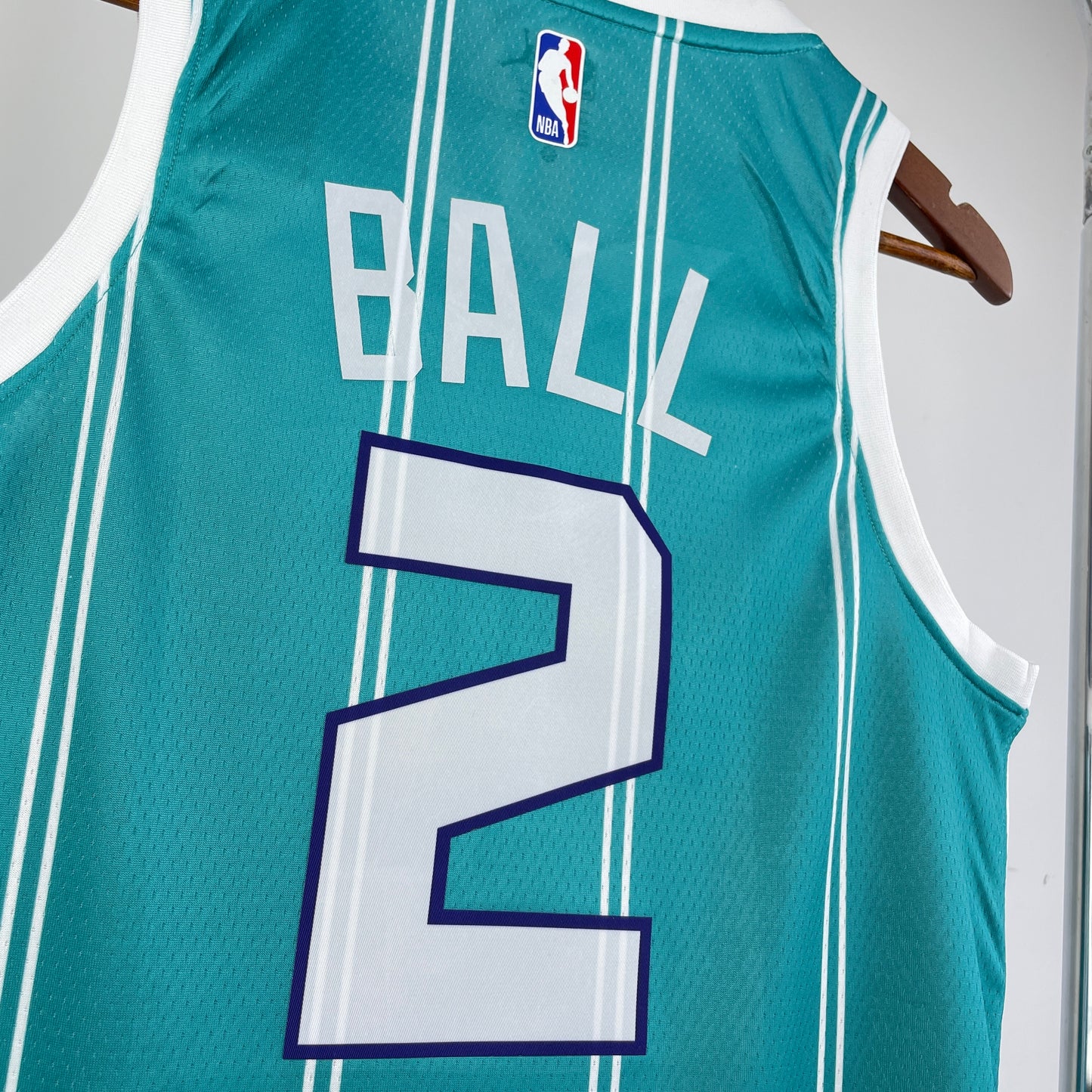Charlotte Hornets. Icon Edition