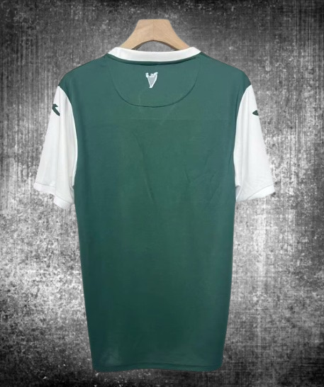 Hibernian. Camiseta local 2025-2026
