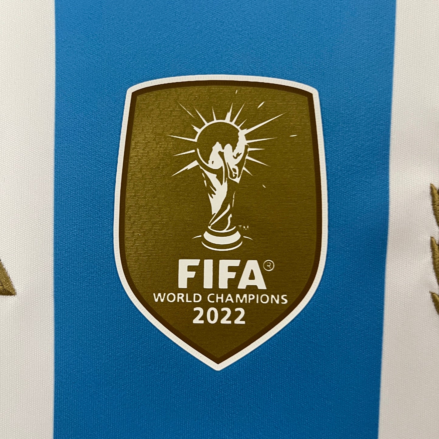 Selección de Argentina. Camiseta local 2024