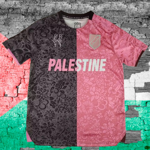 Palestina. Camiseta Edición Especial Pink/Grey