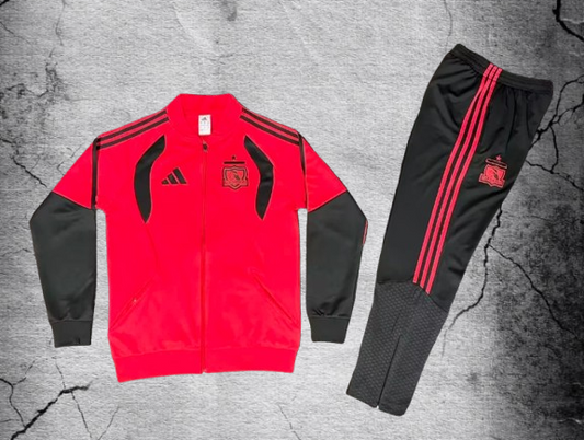 Colo Colo. Buzo (Cierre Completo)