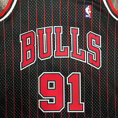 Chicago Bulls. Dennis Rodman 1995-1996