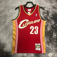 Cleveland Cavaliers. Lebron James 2003-2004